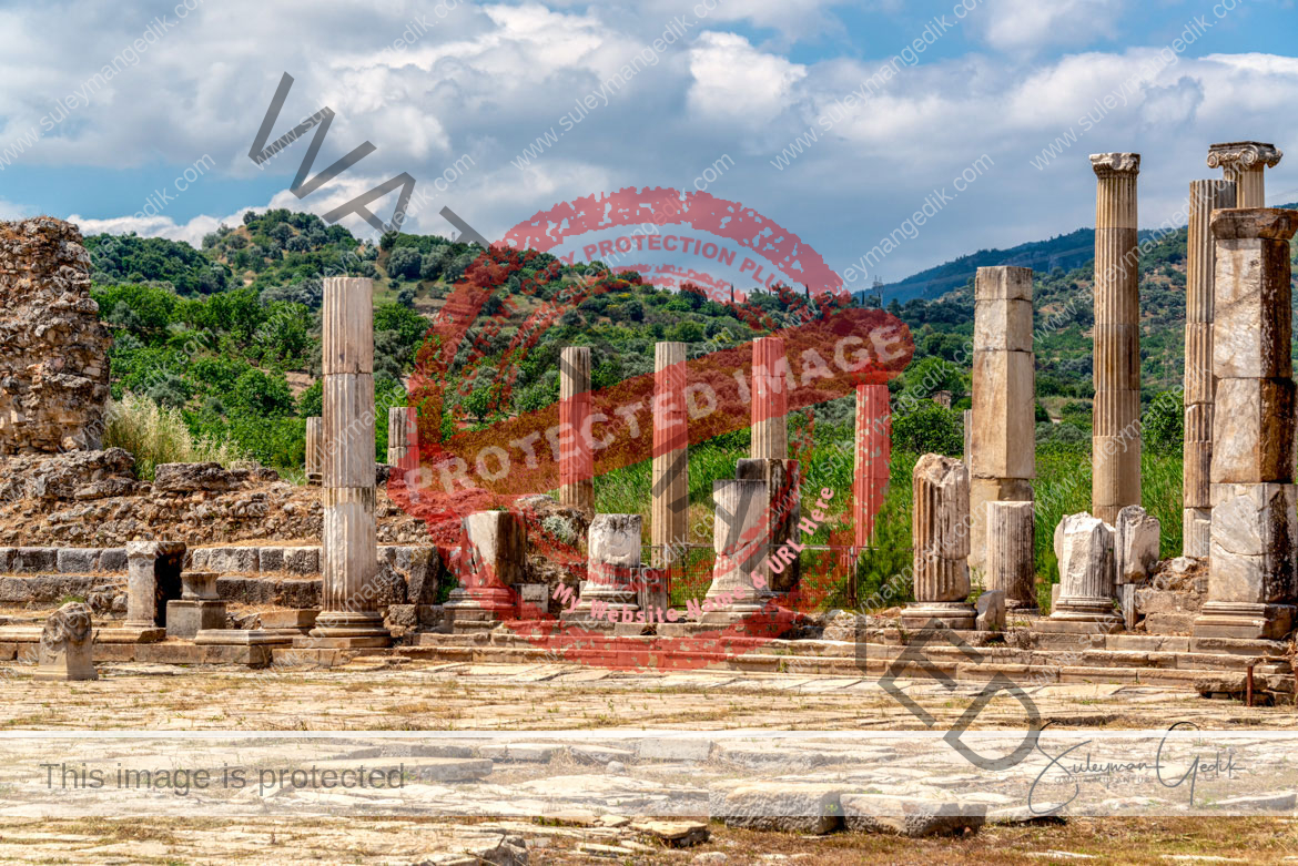 Magnesia ad Meandrum Ionia Ancient Greek Archaeological Aydın Turkey