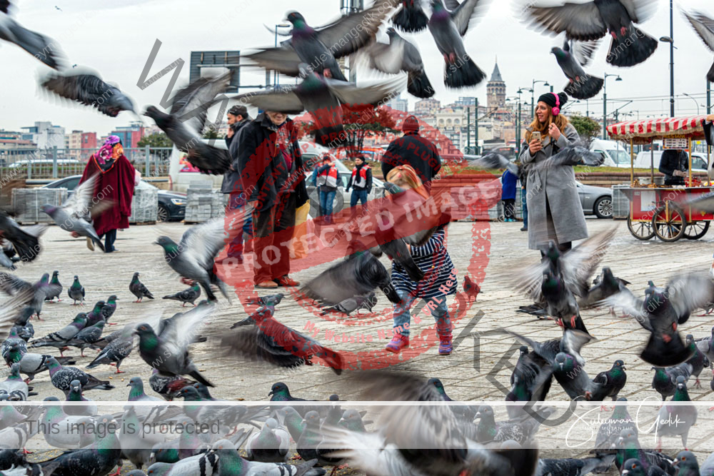 Eminönü İstanbul Turkey Street Girl Doves